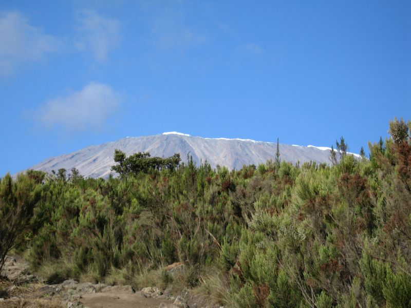 Kili (059)...und Kibo